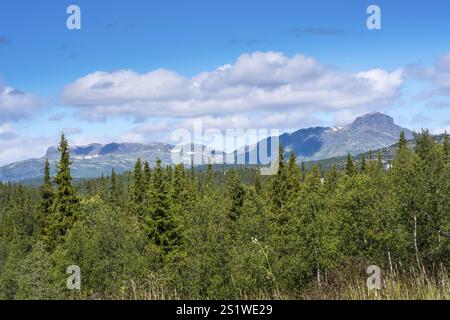 Faszinierende Naturlandschaft in Jotunheimen im Sommer in Norwegen. Großartige Naturlandschaft in Jotunheimen im Sommer in Norwegen Stockfoto