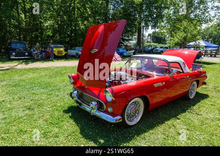 Ein rot-weißes Ford Thunderbird Coupé aus dem Jahr 1955, das auf einer Autoausstellung in Auburn, Indiana, USA, im Gras geparkt wurde. Stockfoto