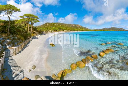 Landschaft mit Palombaggia Strand auf Korsika, Frankreich Stockfoto
