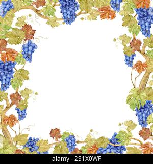 Quadratischer Rahmen aus Weinrebe mit blauen Beeren. Aquarellrahmen von Traubennelken und Blättern. Herbstdesign für Hochzeitsdekoration im rustikalen Stil. Clipart für Restaurantmenü. Stockfoto