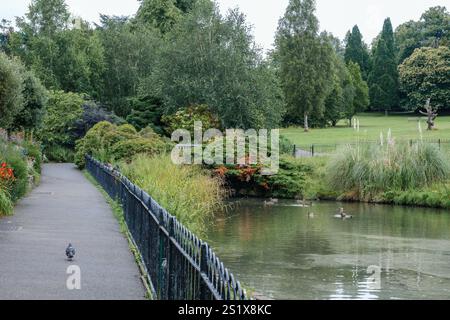 Ruhiger Park mit malerischem Weg entlang eines ruhigen Teichs mit Enten. Eine Taube befindet sich auf dem Weg, umgeben von üppigem Grün und Bäumen Stockfoto