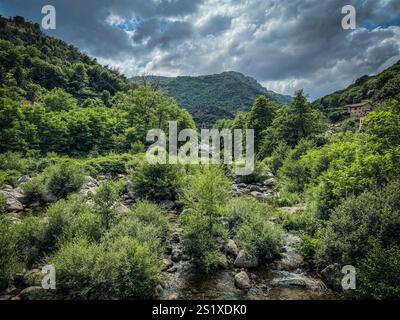 Der Chassezac River fließt durch einen üppig grünen Wald mit bewölktem Himmel in Cevenne, lozere, frankreich Stockfoto