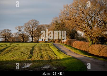 Warwickshire Farmland und Landstraße im Winter, England, Großbritannien Stockfoto