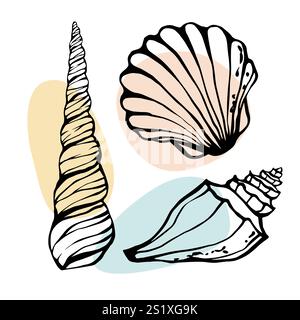 Handgezeichnete Muscheln- und Muschelschalen-Kollektion Seashells Set Freihandgemälde in Schwarz Stock Vektor