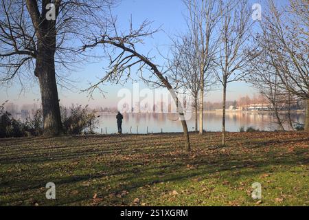 Ein Mann, der auf einer Freiung eines Parks am Seeufer steht, eingerahmt von einem bogenförmigen Baum Stockfoto