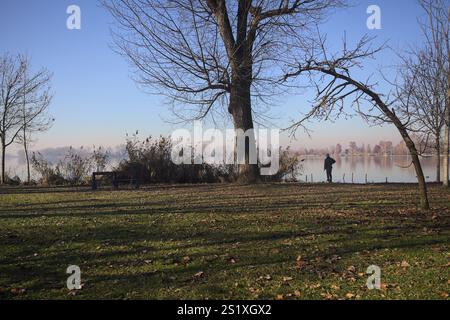 Ein Mann, der auf einer Freiung eines Parks am Seeufer steht, eingerahmt von einem bogenförmigen Baum Stockfoto