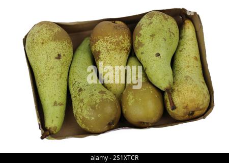 Stapel von grünen Reifen Birnen Konferenz verpackt in rechteckigem Karton Karton Behälter für den Einzelverkauf, isoliert auf weißem Hintergrund. Kunststofffreie Verpackung Stockfoto