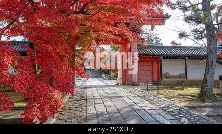 Ein atemberaubender Blick auf leuchtende rote Ahornblätter, die ein Baldachin über dem Steinweg zum Shinnyo-Do Tempel in Kyoto bilden. Die lebendigen Farben der herbstkrippe Stockfoto