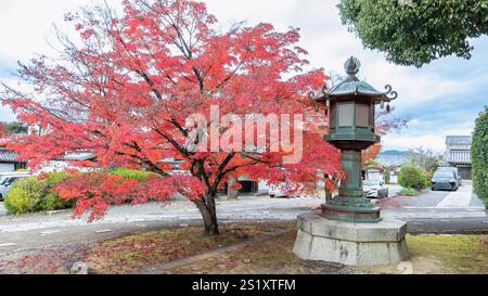 Ein leuchtender roter Ahornbaum steht neben einer traditionellen Steinlaterne im Shinnyo-Do Tempel und schafft eine wunderschöne Herbstszene. Eine Mischung aus Natur und Kult Stockfoto