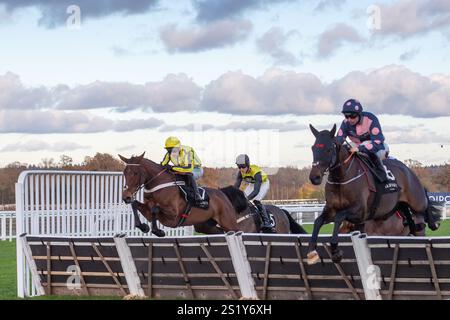 Ascot, Berkshire, Großbritannien. November 2024. BREAK MY SOUL, geritten von Nico de Boinville (gelbe Seide) und ALNILAM (Nr. 6), geritten von Sean Bowen, überwinden eine Hürde im LK Bennett Herbstkollektion Handicap Hürdenrennen Klasse 3 beim Copybet November Friday Raceday auf der Ascot Racecourse in Berkshire. Kredit: Maureen McLean/Alamy Stockfoto