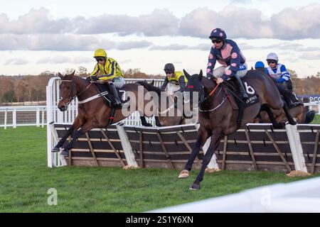 Ascot, Berkshire, Großbritannien. November 2024. BREAK MY SOUL, geritten von Nico de Boinville (gelbe Seide) und ALNILAM (Nr. 6), geritten von Sean Bowen, überwinden eine Hürde im LK Bennett Herbstkollektion Handicap Hürdenrennen Klasse 3 beim Copybet November Friday Raceday auf der Ascot Racecourse in Berkshire. Kredit: Maureen McLean/Alamy Stockfoto