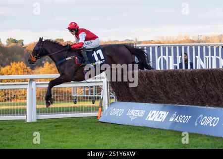 Ascot, Berkshire, Großbritannien. November 2024. TIME TO BITE, geritten von Bryan Carver, hat einen Zaun in der Copybet UK Handicap Steeple Chase (Klasse 4) beim Copybet November Friday Raceday auf der Ascot Racecourse in Berkshire. Kredit: Maureen McLean/Alamy Stockfoto