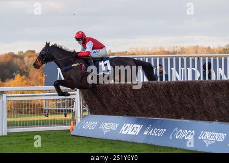 Ascot, Berkshire, Großbritannien. November 2024. TIME TO BITE, geritten von Bryan Carver, hat einen Zaun in der Copybet UK Handicap Steeple Chase (Klasse 4) beim Copybet November Friday Raceday auf der Ascot Racecourse in Berkshire. Kredit: Maureen McLean/Alamy Stockfoto