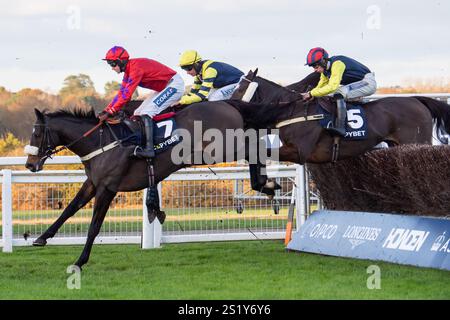 Ascot, Berkshire, Großbritannien. November 2024. BERTIE WOOSTER (Nr. 7), geritten von Brendan Powell, hat einen Zaun in der Copybet UK Handicap Tureple Chase (Klasse 4) beim Copybet November Friday Raceday auf der Ascot Racecourse in Berkshire entfernt. Kredit: Maureen McLean/Alamy Stockfoto