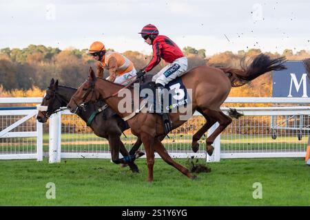 Ascot, Berkshire, Großbritannien. November 2024. REGARDE (Nr. 3), geritten von Gavin Sheehan, hat beim Copybet November Friday Raceday auf der Ascot Racecourse in Berkshire einen Zaun in der Copybet UK Handicap Steeple Chase (Klasse 4). Kredit: Maureen McLean/Alamy Stockfoto