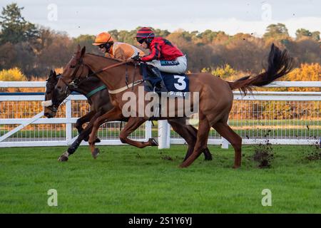 Ascot, Berkshire, Großbritannien. November 2024. REGARDE (Nr. 3) mit Gavin Sheehan Rennen in der Copybet UK Handicap Steeple Chase (Klasse 4) beim Copybet November Friday Raceday auf der Ascot Racecourse in Berkshire. Kredit: Maureen McLean/Alamy Stockfoto