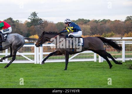 Ascot, Berkshire, Großbritannien. November 2024. DIE REGATTA DE BLANC wurde von Freddie Gingell in der Copybet UK Handicap Steeple Chase (Klasse 4) beim Copybet November Friday Raceday auf der Ascot Racecourse in Berkshire gefahren. Kredit: Maureen McLean/Alamy Stockfoto