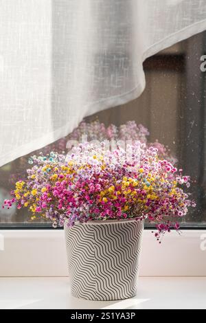 Pflanzen Sie kleine Blumen auf der Fensterbank vor dem Hintergrund des Glases und des weißen Vorhangs Stockfoto