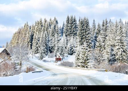 Eine leere Winterstraße, die sich durch die Landschaft zieht und von einem schneebedeckten Nadelwald begrenzt wird. Stockfoto