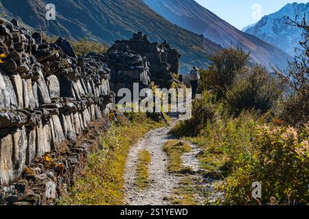 Langtang Dorf - 16. Oktober 2024 : Sonnenaufgang am frühen Morgen im Dorf Langtang und Trail nach Kyangji Gompa mit Langtang Lirung Berg und Gangchenpo Stockfoto