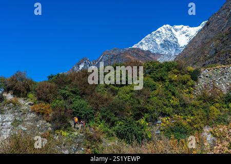 Langtang Dorf - 16. Oktober 2024 : Sonnenaufgang am frühen Morgen im Dorf Langtang und Trail nach Kyangji Gompa mit Langtang Lirung Berg und Gangchenpo Stockfoto