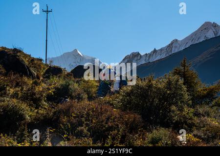 Langtang Dorf - 16. Oktober 2024 : Sonnenaufgang am frühen Morgen im Dorf Langtang und Trail nach Kyangji Gompa mit Langtang Lirung Berg und Gangchenpo Stockfoto