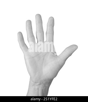 Handfläche öffnen. Die zerknitterte Hand der älteren Frau mit weit gespreizten Fingern symbolisiert Begrüßung, winkende oder hohe fünf. Ordentliche und entspannte Pose Showcasi Stockfoto