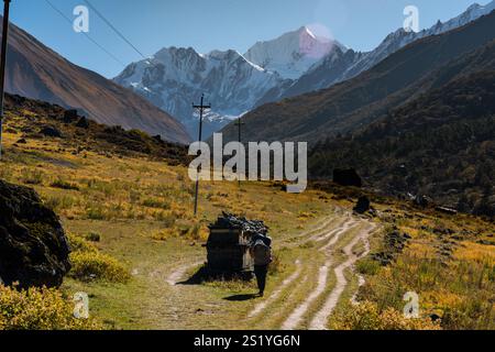 Langtang Dorf - 16. Oktober 2024 : Sonnenaufgang am frühen Morgen im Dorf Langtang und Trail nach Kyangji Gompa mit Langtang Lirung Berg und Gangchenpo Stockfoto