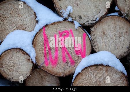 Holzhaufen im Wald im Winter, Märzenbecherweg, zwischen Reblin und Valbert, Meinerzhagen, Nordhelle, Naturpark Ebbe Berg, Sauerland, Nord Rh Stockfoto