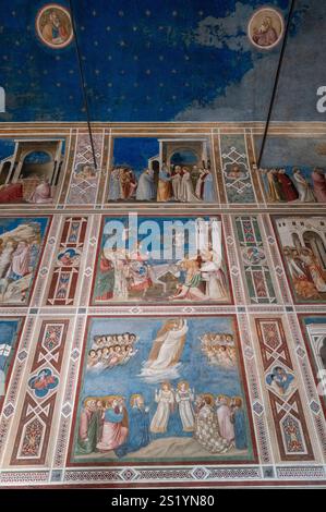 Fresken von Giotto Scrovegni Kapelle. Padua, Venetien, Italien, Europa. Stockfoto