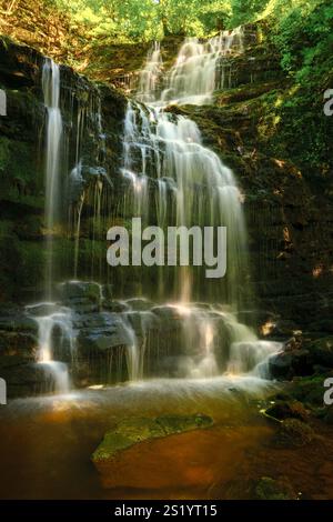 Scaleber Force entlang Stockdale Beck in der Nähe von Settle in North Yorkshire, Großbritannien Stockfoto