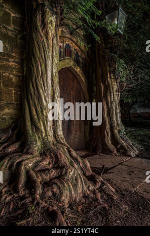 Nördlicher Eingang der St. Edward's Church, mit Eibenbäumen auf beiden Seiten. Nachts aufgenommen und mit Fackellicht beleuchtet. Stau-on-the-Wold, Gloucestershire Stockfoto