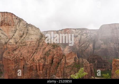 Hoch aufragende Sandsteinklippen im Zion-Nationalpark, umgeben von Wolken und Nebel. Stockfoto