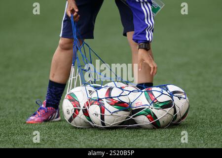 WINNIPEG, KANADA – 16. JUNI: Die Fußball-Bälle des japanischen Fußballverbandes werden nach Aufwärmübungen gesammelt, bevor am 16. Juni 2015 ein Spiel der FIFA Frauen-Weltmeisterschaft Gruppe C zwischen Japan und Ecuador im Winnipeg-Stadion in Winnipeg, Kanada, gestartet wurde. Nur redaktionelle Verwendung. Kommerzielle Nutzung verboten. (Foto: Jonathan Paul Larsen / Diadem Images) Stockfoto