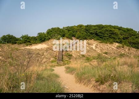 Malerischer Weg durch den Indiana Dunes National Park mit Holztreppe. Stockfoto