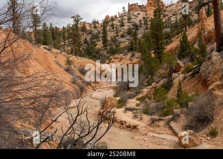 Atemberaubender Blick auf die Tropic Ditch Falls in der malerischen Landschaft des Bryce Canyon. Stockfoto