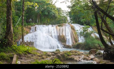 Landesape von Agua Azul mit Wasserfällen im tropischen Wald von Palenque in Mexiko. Stockfoto