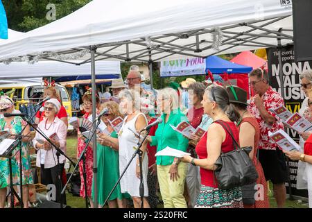 Seniorenchor singt weihnachtslieder auf einem lokalen weihnachtsmarkt in Avalon Beach, Sydney, Australien Stockfoto