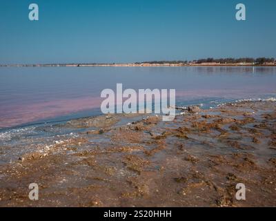 Lake Retba oder Lac Rose in der Nähe von Dakar im Senegal. Wunderschöner Blick auf den Strand von oben auf einen salzigen See, der tiefes Orange und Rosa des Wassers ausstrahlt. Stockfoto