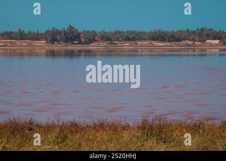 Lake Retba oder Lac Rose in der Nähe von Dakar im Senegal. Wunderschöner Blick auf den Strand von oben auf einen salzigen See, der tiefes Orange und Rosa des Wassers ausstrahlt. Stockfoto
