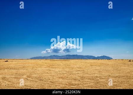 Blick von Süden über die Namib-Wüste bis zum Brandberg, Erongo Region, Namibia Stockfoto
