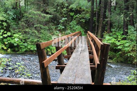 Wanderwege von Sitka Stockfoto