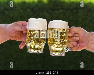 Zwei Tassen Bier und Bierschaum im Toast Austria Stockfoto