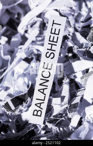 Papier schreddert mit dem Stichwort Bilanz, symbolisches Foto für Datenvernichtung, Bilanzen und Buchhaltung Stockfoto