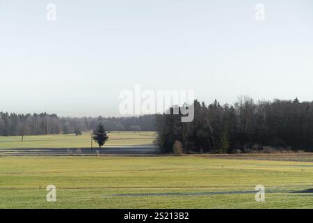 Eine ruhige ländliche Landschaft mit einem frostigen offenen Feld, kargen Bäumen und einem dichten Wald unter einem klaren Winterhimmel Stockfoto