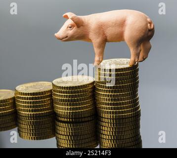 Ein Schwein steht auf einem Stapel Münzen. Steigende Futtermittelkosten in der Landwirtschaft. Sinkende Erträge von Schweinefleisch Stockfoto