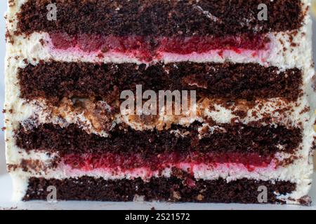 Nahaufnahme einer reichhaltigen Schokoladenkuchenscheibe mit Schichten cremiger Zuckerguss, Himbeerfüllung und knusprigem Crumble. Stockfoto