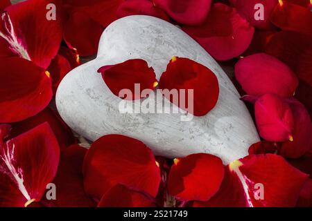 Rote Rosenblätter liegen auf einem herzförmigen Stein. Rosen als Symbol für Liebe, Romantik, Valentinstag Österreich Stockfoto