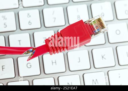 Das rote, defekte Kabel eines Netzwerks von einem Computer. Österreich Stockfoto