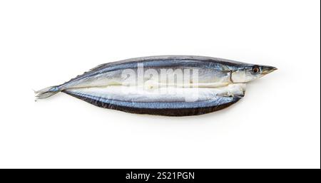 Getrocknete Makrelenhecht Stockfoto